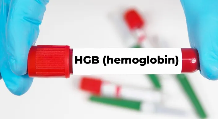 Hemoglobin Nedir ve Neden Önemlidir? Normal Değerler & Evde Takip