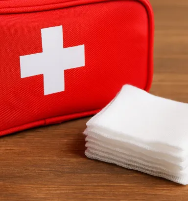 İlk Yardım Çantası İçin Spanç ve Gazlı Bez Seti Satın Al