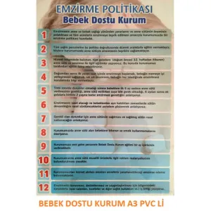 Bebek Dostu Sağlık Kurumu Politika Afişi A3