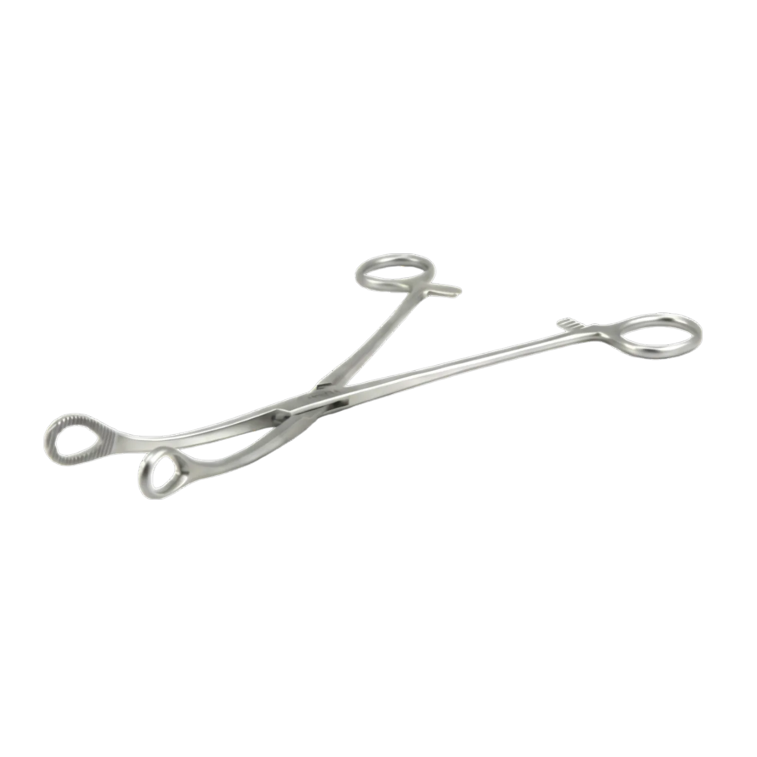 Forester Pensi 25 cm