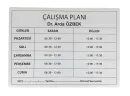 Hekim İç Tabela Çalışma Planı