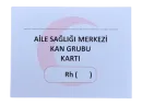 Kan Grubu Kartı 100'lük